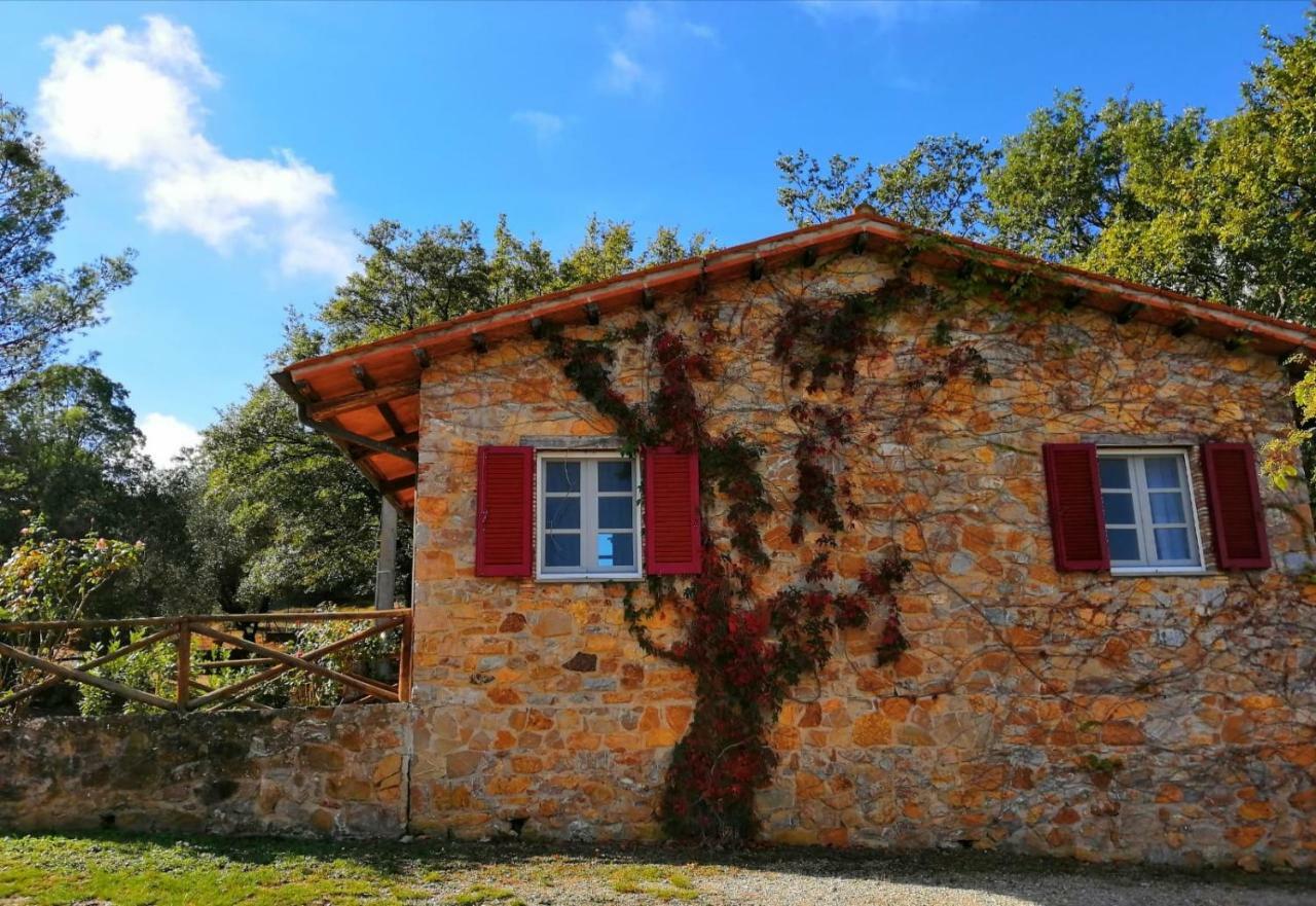 Il Daino Bianco Country Hotel Manciano Bagian luar foto